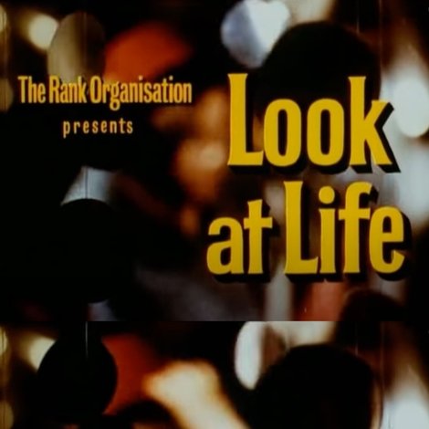 Look at Life: IN Gear