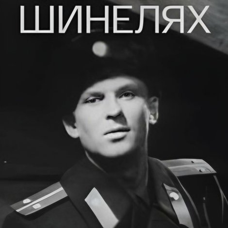 Солдаты в синих шинелях