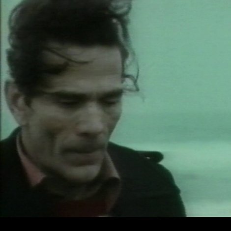 Le ceneri di Pasolini