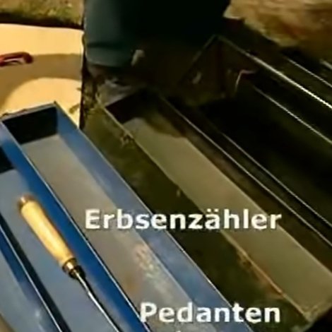 Erbsenzähler - Pedanten unter uns