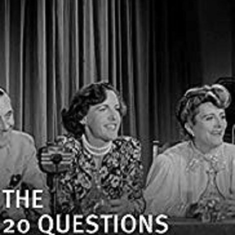 The Twenty Questions Murder Mystery