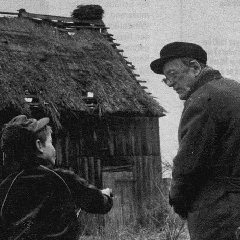 Ein Wigwam für die Störche