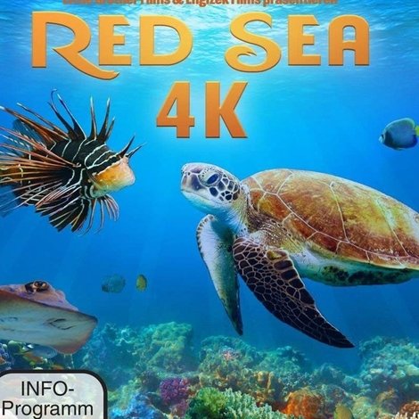Red Sea