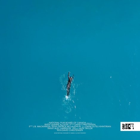 Losing Blue