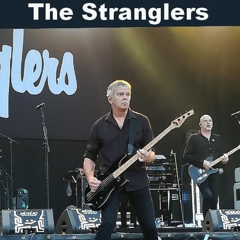 The Stranglers at Musilac Festival