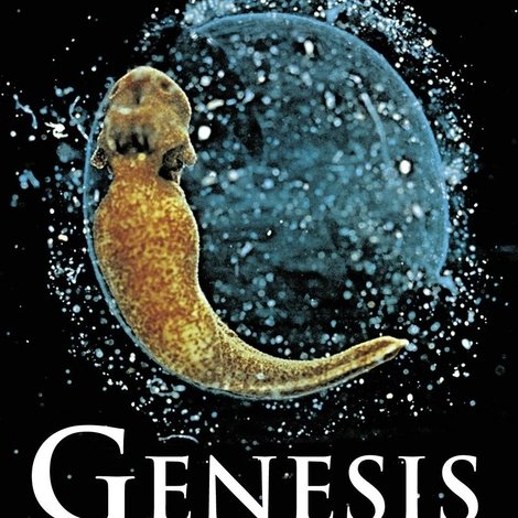 Genesis