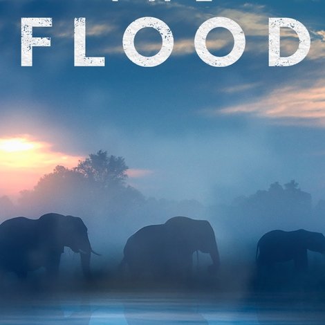 The Flood