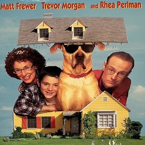 In the Doghouse