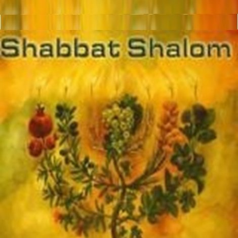 Shabbot Shalom!