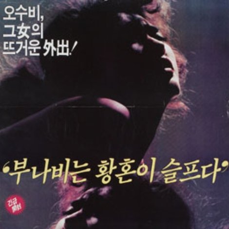 부나비는 황혼이 슬프다