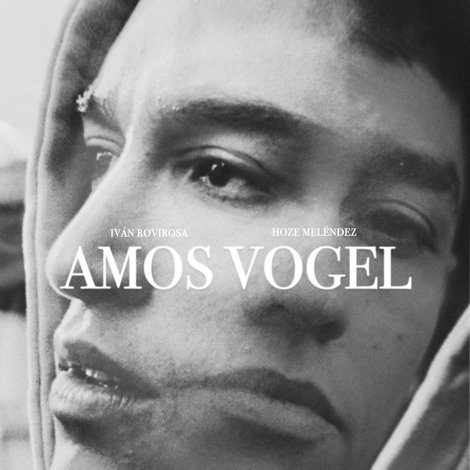 Amos, Vogel