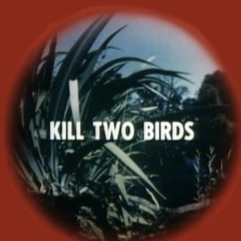Kill Two Birds