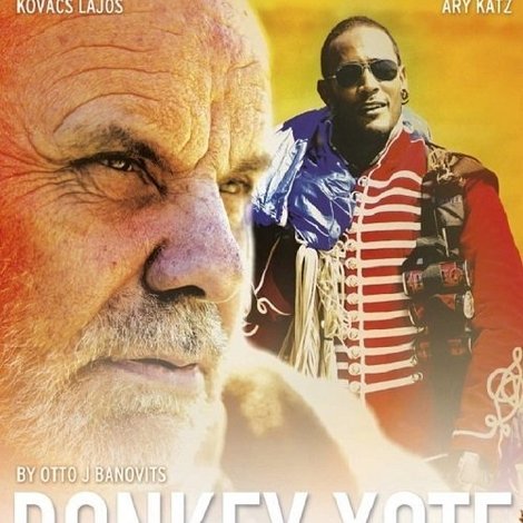 Donkey Xote
