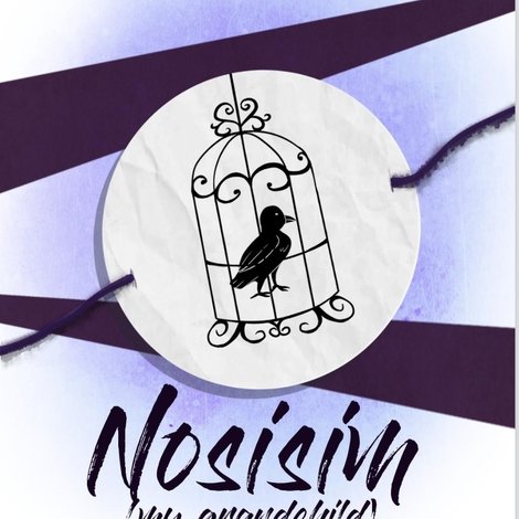 Nosisim