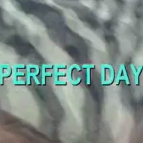 Perfect Day