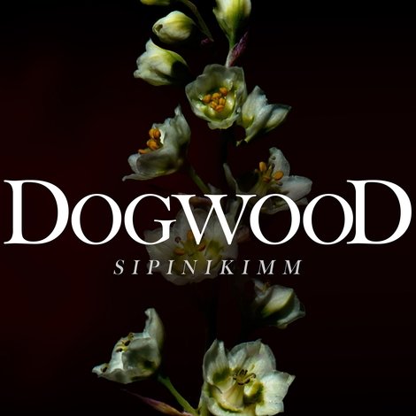Dogwood (Sipinikimm)