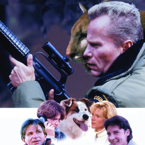 Hollywood Safari
