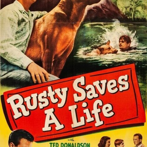 Rusty Saves a Life