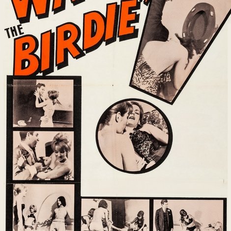 Watch the Birdie