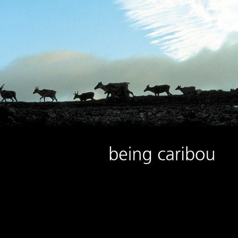 Being Caribou