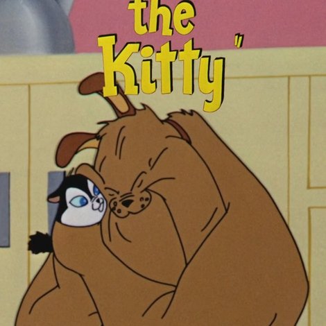 Feed the Kitty