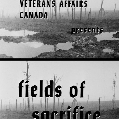 Fields of Sacrifice