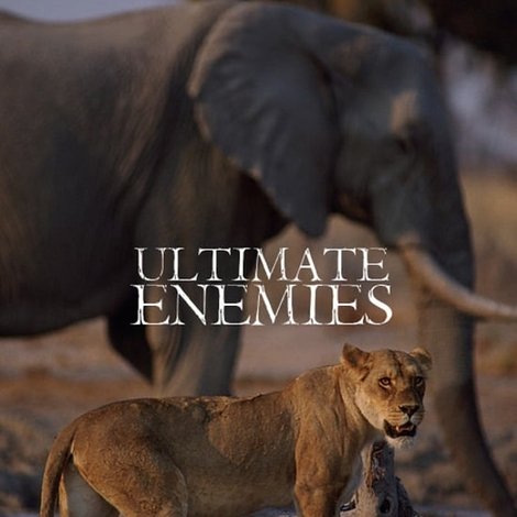 Ultimate Enemies: Revealed
