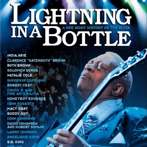 Lightning in a Bottle