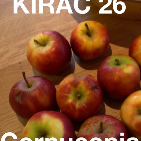 KIRAC 26: Cornucopia