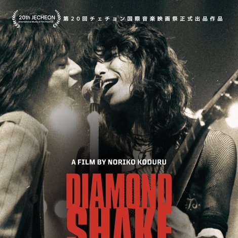 DIAMOND SHAKE