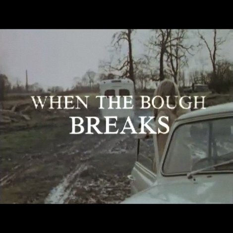 When the Bough Breaks