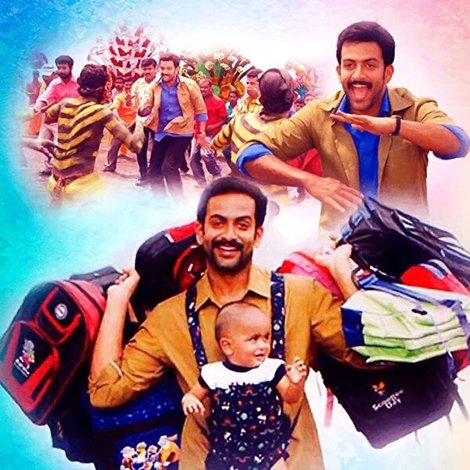 കങ്കാരു