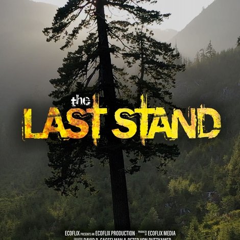 The Last Stand