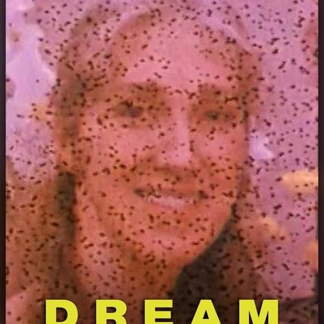 Dream Sphinx