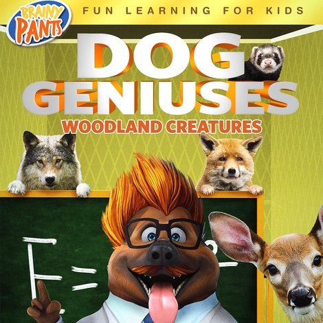 Dog Geniuses: Woodland Creatures