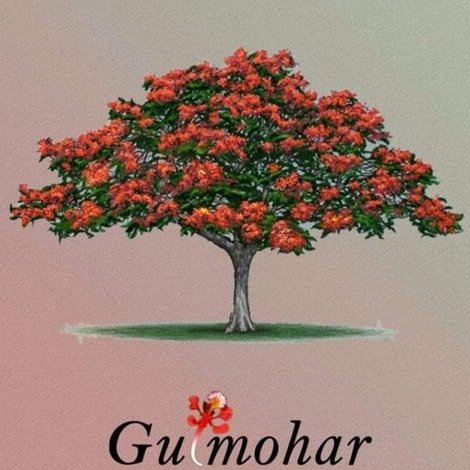 Gulmohar