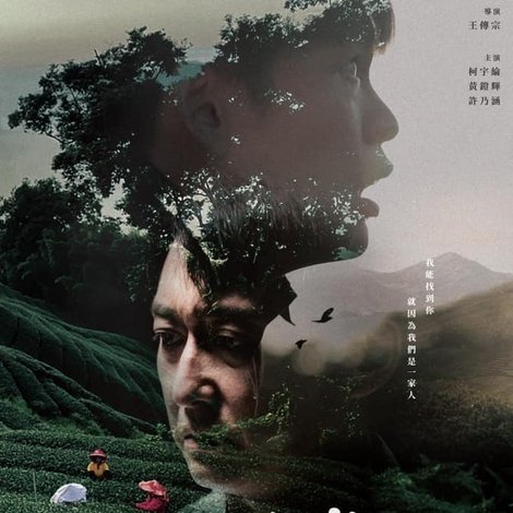 顧巢.抾箬仔