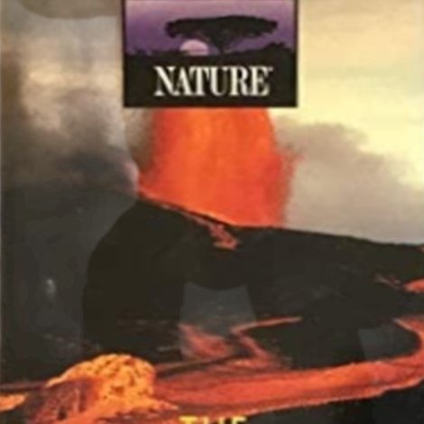 The Volcano Watchers