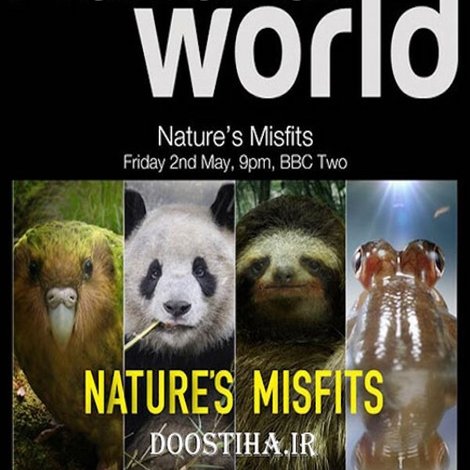 Nature's Misfits