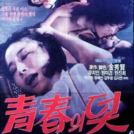 청춘의 덫