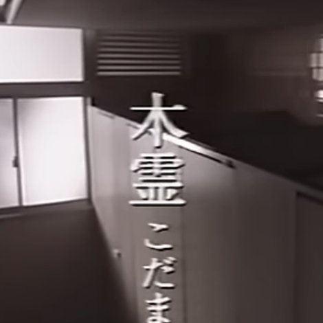 木霊