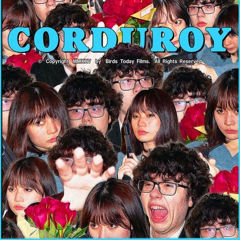 Corduroy