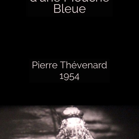 Les Aventures d'une Mouche Bleue