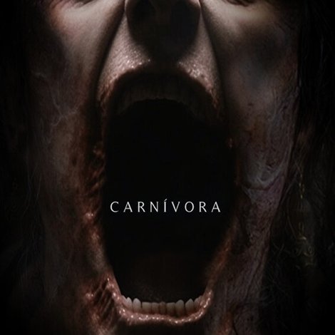 Carnivora