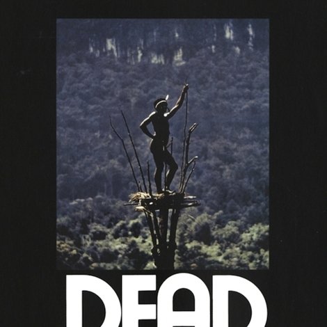 Dead Birds
