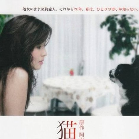 猫の家族