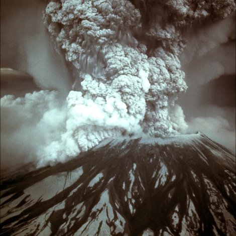 Beauty from the Ashes