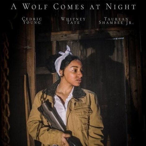 A Wolf Comes at Night
