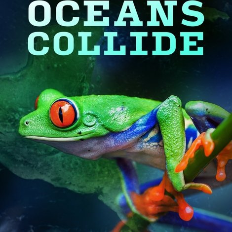 Where Oceans Collide
