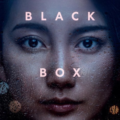 Black Box Diaries